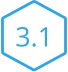 3.1