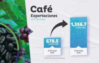 Crecen en 100% las exportaciones de café, impulsadas por los precios internacionales y la inversión pública histórica