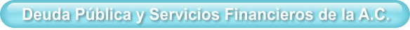 Deuda Pública y Servicios Financieros de la A.C.