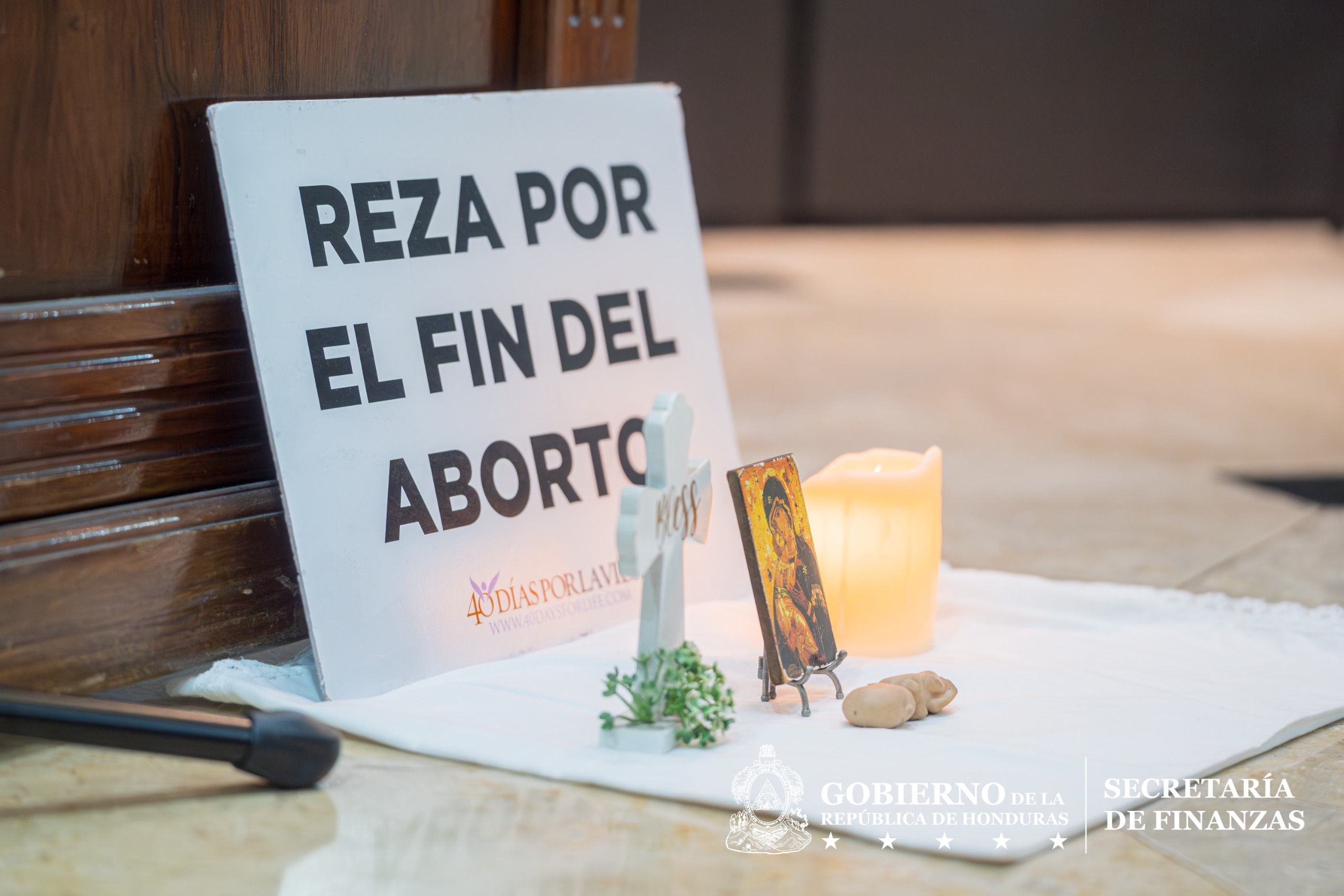 WhatsApp Image 2026-03-25 at 3.11.34 PM (2)