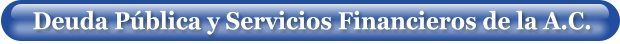 Deuda Pública y Servicios Financieros de la A.C.