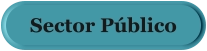 Sector Público