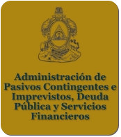 Administración de Pasivos Contingentes e Imprevistos, Deuda Pública y Servicios Financieros