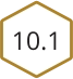 10.1