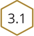 3.1
